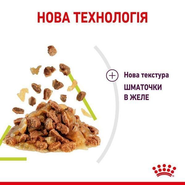 Royal Canin SENSORY SMELL JELLY консерви для котів вибагливих до аромату, 85г, 85г