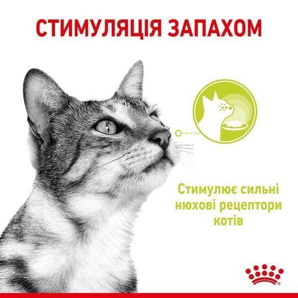 Royal Canin SENSORY SMELL JELLY консерви для котів вибагливих до аромату, 85г, 85г