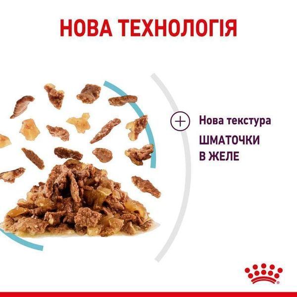 Royal Canin SENSORY FEEL JELLY консерви для вибагливих кішок, 85г, 85г