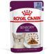 Royal Canin SENSORY FEEL JELLY консерви для вибагливих кішок, 85г, 85г