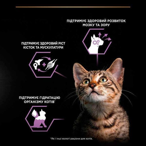 Pro Plan Kitten Healthy Start Turkey вологий корм для кошенят шматочки в паштеті ІНДИЧКА, 75г, 75г