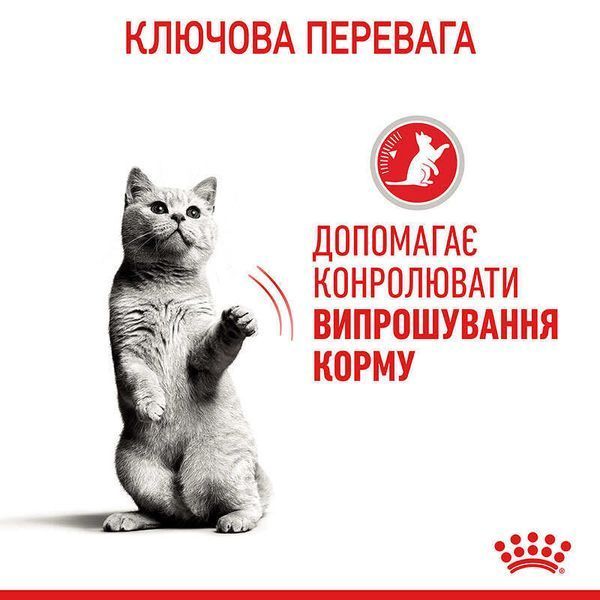Royal Canin APPETITE CONTROL вологий корм для стерилізованих кішок, 85г, 85г