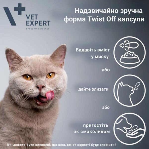 VetExpert RenalVet Ultra препарат для підтримки функції нирок у кішок, 60 капс.