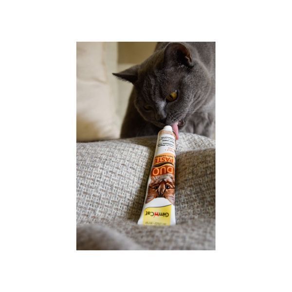 GimCat DUO PASTE Anti-hairboll Паста для котів з чутливим травленням мальт та сир, 50 г, 50г