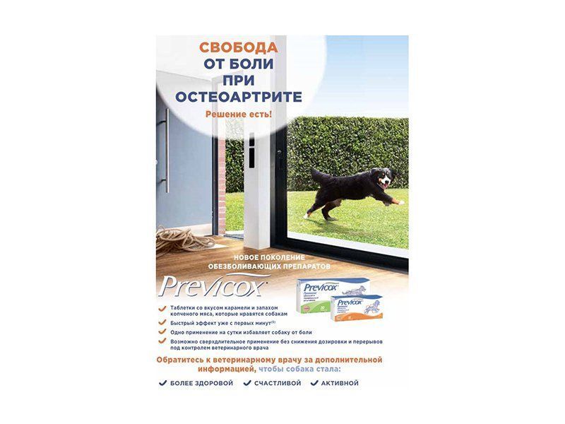 PREVICOX (ПРЕВІКОКС) таблетки протизапальні для собак
