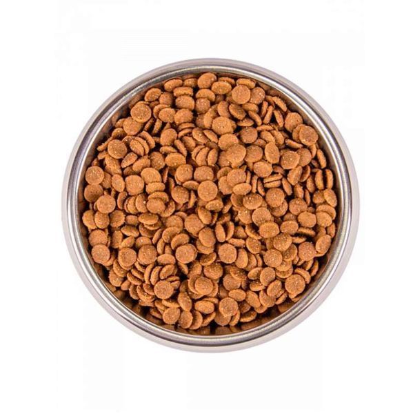 Monge Cat Bwild Low Grain Kitten Goose сухий низькозерновий корм для кошенят ГУСКА