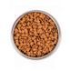 Monge Cat Bwild Low Grain Kitten Goose сухий низькозерновий корм для кошенят ГУСКА
