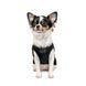 Борцівка Pet Fashion &laquo;FBI&raquo; для собак, розмір S2, чорна, S2