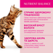 OPTIMEAL пауч для котів з телятиною в журавлинному соусі, 85 г, 85г