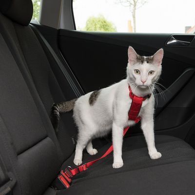 Trixie Автомобильная шлея с ремнем безопасности для кота, красная, 20-50 см, 0,5 м