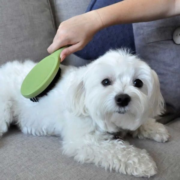 Safari Bristle Dog Brush САФАРІ БРІСТЛ щітка для собак та котів