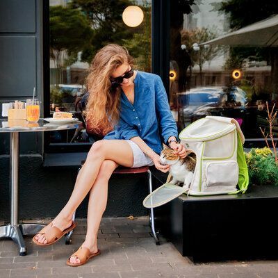 WAUDOG Relax Eco Рюкзак-переноска для котів та дрібних порід собак до 8 кг (40*40*26 см), 40x40x26 см