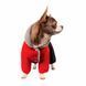 Pet Fashion Костюм для собак &laquo;Dragon&raquo;, розмір М, M