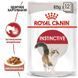 Royal Canin INSTINCTIVE in GRAVY консерви для котів, 85г, 85г