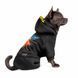 Костюм для собак Pet Fashion Flash, розмір М, M