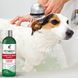 VET'S BEST Allergy Itch Relief Dog Shampoo - Шампунь для собак з чутливою шкірою, 470 мл, 470 мл