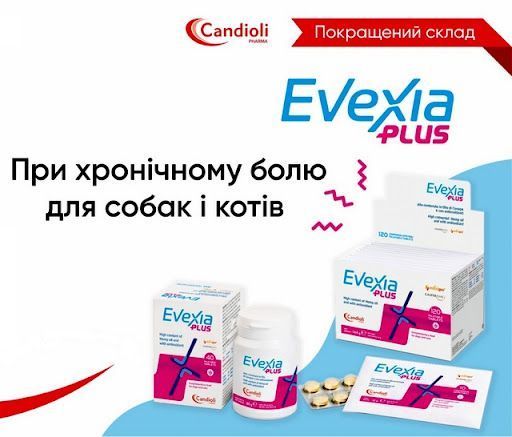 Candioli (Кандіолі) Evexia Plus знеболювальне для собак та кішок, емульсія