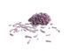 Zen Kitty Clumping Tofu Lavender соєвий наповнювач для котячого туалету ЛАВАНДА, 5,5 л, 5,5 л