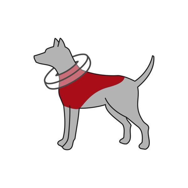 Trixie PROTECTIVE COLLAR надувной защитный воротник, S (24-31 см)