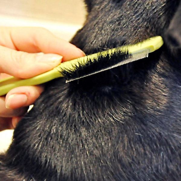 Safari Dog Flea Comb САФАРІ ГРЕБІНЕЦЬ ВІД БЛІХ для собак з короткою шерстю, 15,9х3,8 см