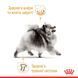RC POMERANIAN LOAF вологий корм для собак, 85г, 85г