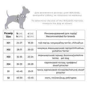 WAUDOG Clothes Шлея для собак м'яка з QR-паспортом, малюнок "Авокадо", XS1, В: 24-27см, С: 18-20см, XS1, В: 24-27см, С: 18-20см