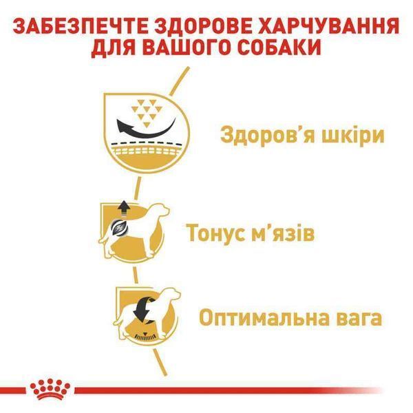 RC PUG ADULT корм для собак породи мопс, 3кг