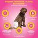 OUT! PetCare Comfort-Dri Disposable Diapers одноразові підгузки для сук, XS/S, (33-46 см, 1,8-11,3 кг)
