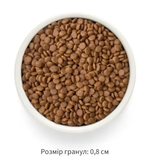 Grandorf FRESH DUCK & SWEET POTATO ADULT CAT - Сухий корм для дорослих котів качка з бататом