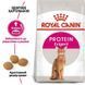 Royal Canin EXIGENT PROTEIN корм для котів, 2кг, 2кг