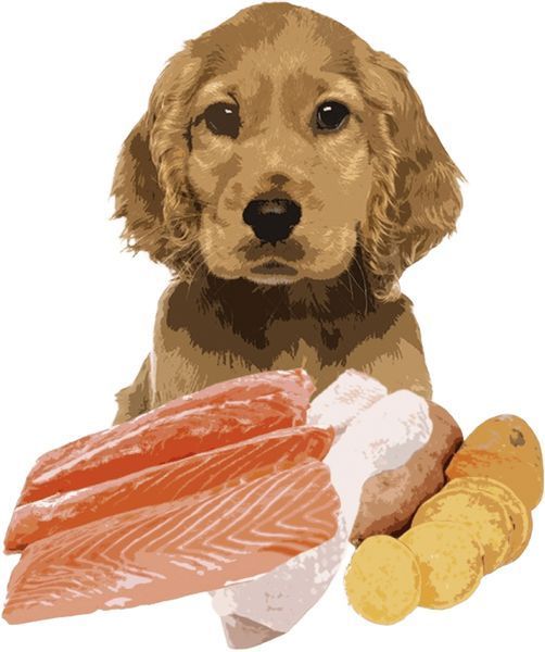 Orygo Puppies Salmon & Sweet Potato напіввологий корм для цуценят ЛОСОСЬ і БАТАТ