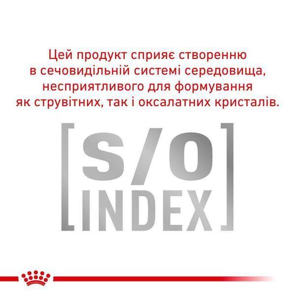 Royal Canin DIABETIC лікувальний вологий корм для собак при цукровому діабеті, 410г, 410г