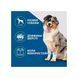 FURminator UNDERCOAT Dog інструмент для вичісування собак від 9 до 23 кг з ДОВГОЮ ШЕРСТЮ, М, M
