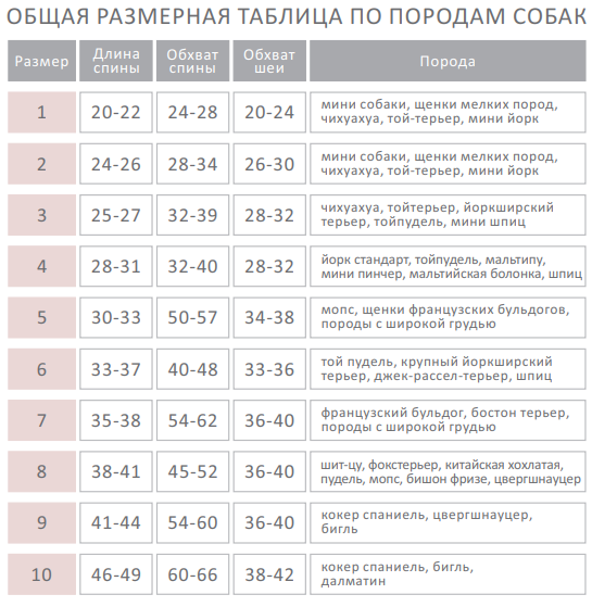 Dogs Bomba Жилет накидка аквамарин, розмір 4, 4