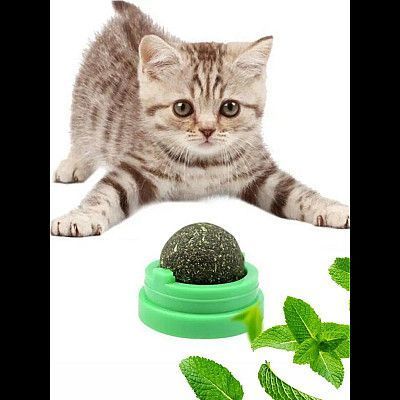 AnimAll TastyVit Cat ласощі лизун для котів КУРКА, М'ЯТА, МАТАТАБІ, 1шт., 30г