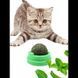 AnimAll TastyVit Cat ласощі лизун для котів КУРКА, М'ЯТА, МАТАТАБІ, 1шт., 30г