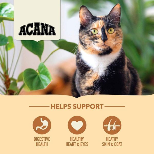 Acana HOMESTEAD HARVEST корм для котів КУРКА, ІНДИЧКА, КАЧКА, 4,5 кг