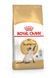 Royal Canin SIAMESE сухий корм для дорослих кішок, 400г, 400г
