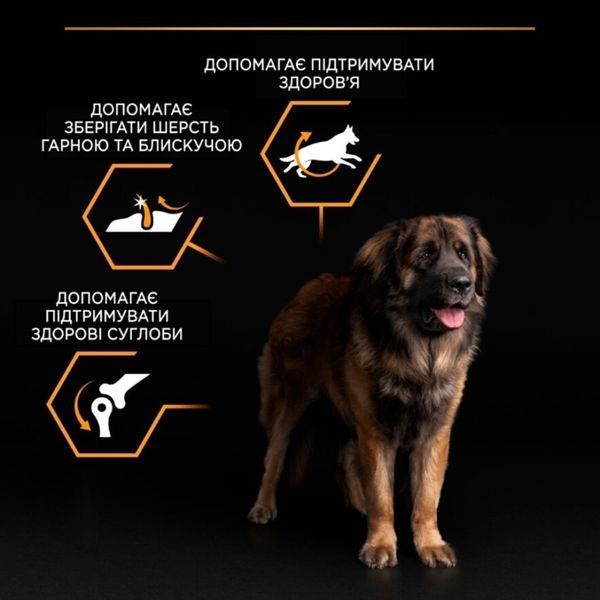 Pro Plan Adult Large Robust Chicken сухий корм для собак великих порід КУРКА, 14кг, 14кг