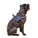 Шлея "Dog Extreme" "POLICE" №2 (В:40-60см) чорна, №2 (В:40-60см), чорний