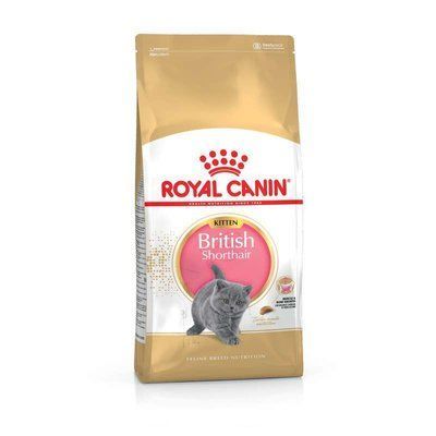 Royal Canin KITTEN BRITISH SHORTHAIR корм для кошенят, 10кг