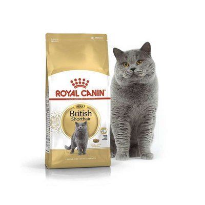 Royal Canin BRITISH SHORTHAIR (БРИТАНСЬКА КОРОТКОШЕРСНА) корм для кішок, 10кг