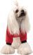 Pet Fashion HOLIDAY - тепла толстовка для собак, S