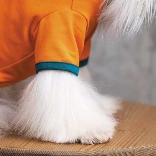 Футболка Pet Fashion &laquo;Art&raquo; для собак, розмір M, помаранчева, M