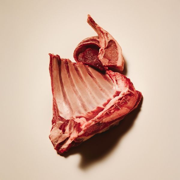 Carnilove Active Sterilised Lamb & Wild Boar сухий беззерновий корм для стерилізованих котів ЯГНЯ та ДИКИЙ КАБАН, 400г