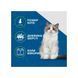 FURminator UNDERCOAT CAT інструмент для вичісування кішок з ДОВГОЮ ШЕРСТЮ S (до 4,5 кг)