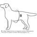 Шлея "Dog Extremе" "POLICE" №4, (В:70-100см) чорна, №4, (В:70-100см), чорний