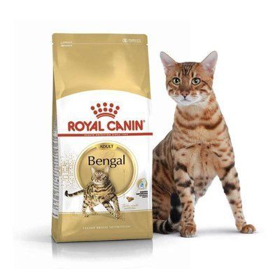 Royal Canin BENGAL ADULT корм для котів, 2кг, 2кг
