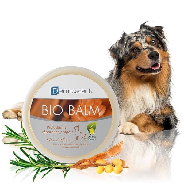 Dermoscent (Дермосент) Bio Balm - Бальзам для ухода за сухой кожей собак, 50мл