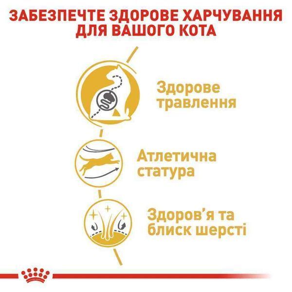Royal Canin BENGAL ADULT корм для котів, 2кг, 2кг